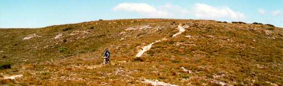 Ridgetop heath - Tony Fathers
photo